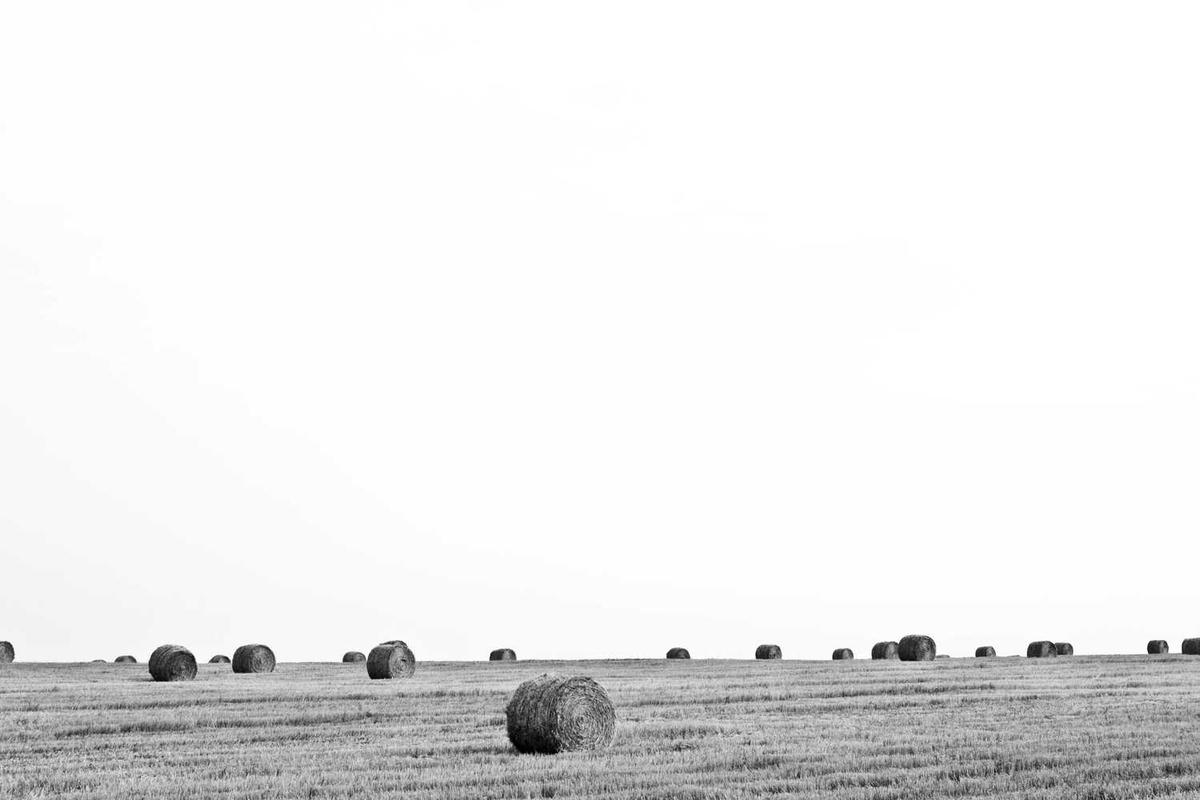 Renewable Energy Systems: Solar and Wind Integration